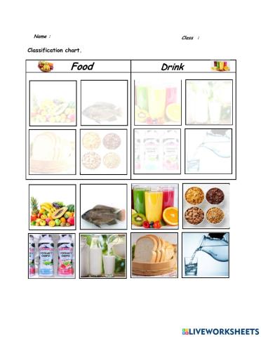 Classification Chart - Food and  Drink-
