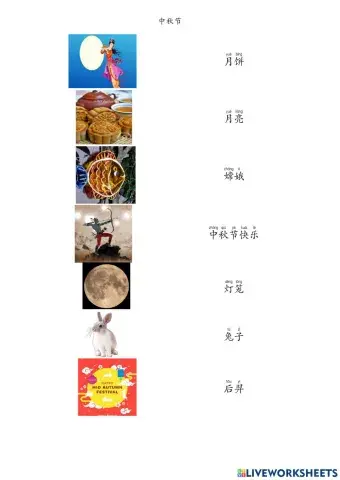 Mid autumn festival 中秋节