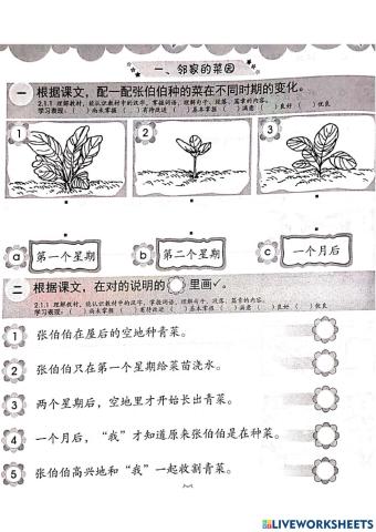 一年级：第二十单元《邻家的菜园》