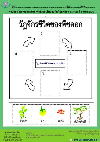 แบบทดสอบ6 หน่วยที่ 3 ชั้นประถมศึกษาปีที่ 2
