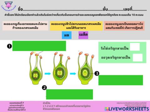 แบบทดสอบ7หน่วยที่ 3 ชั้นประถมศึกษาปีที่ 2