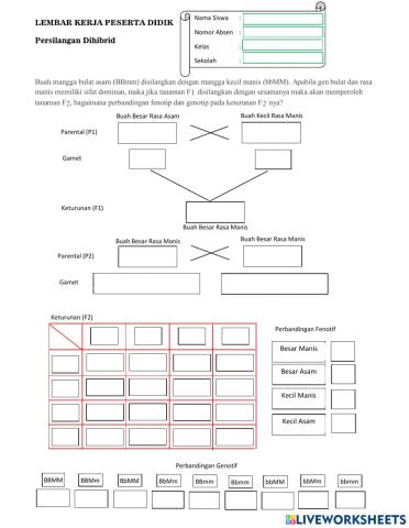 LKPD Persilangan Dihibrida