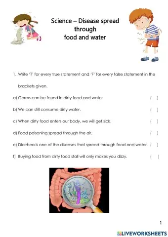 Disease spread through food and water