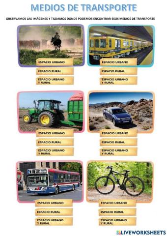 Los medios de Transporte