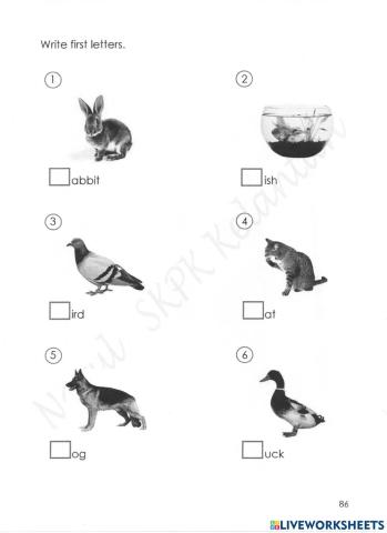 My Pet Pendidikan Khas (Learning Disability)