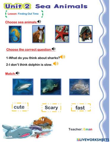 Sea animals