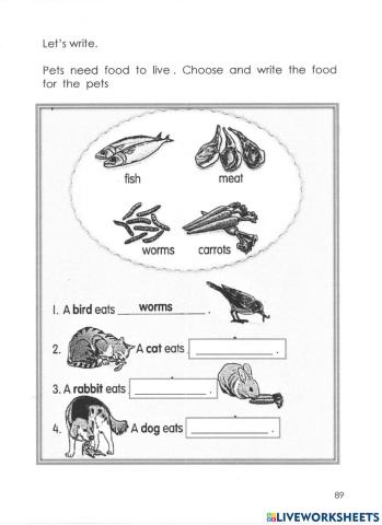 My Pet Pendidikan Khas (Learning Disability)