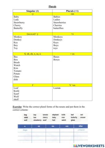 Plural exercises-AVES ONLINE