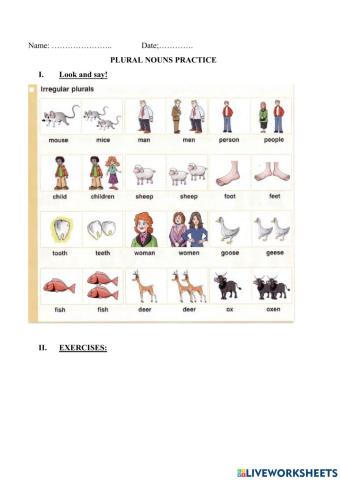 Irregular Plural exercises-AVES ONLINE