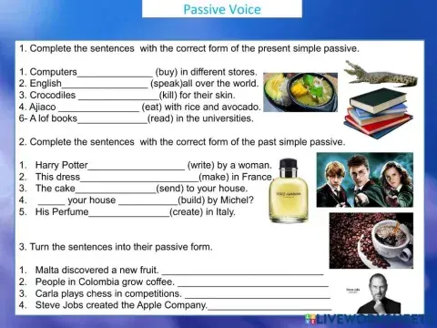 Passive Voice Present Simple, Past Simple