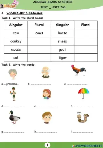 Academy stars starters