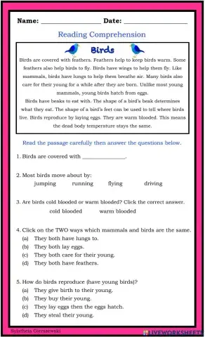 Reading Comprehension