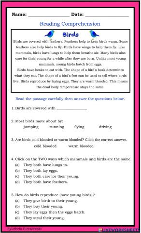 Reading Comprehension