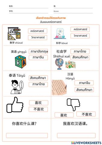 你喜欢什么课？