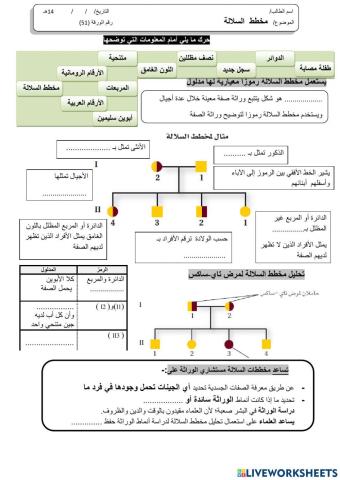 ورقة 51تفاعلية3