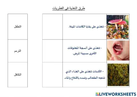 التغذية في الفطريات