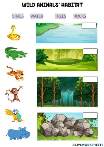 Wild animals habitats