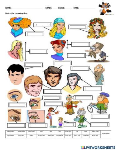 Vocabulary appearance