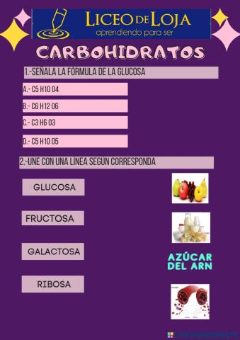 Carbohidratos  y grasas