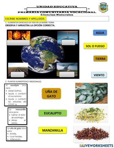 Evaluación de Ciencias Naturales