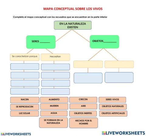 Organizadores gráficos