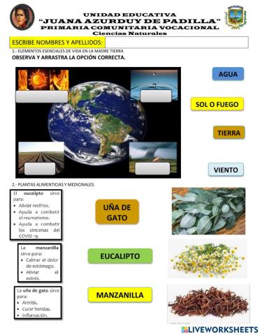 Evaluación de Ciencias Naturales
