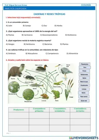 Cadenas y redes tróficas