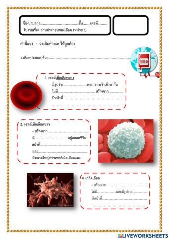 ส่วนประกอบของเลือด