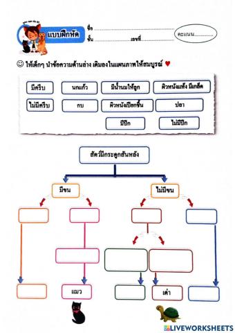 สัตว์มีกระดูกสันหลัง