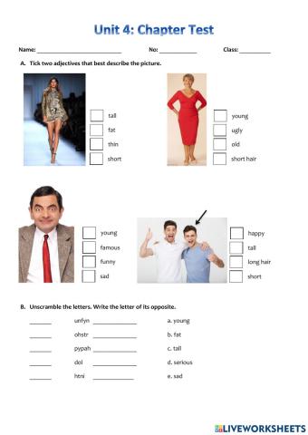 Adjectives, possessive adjectives