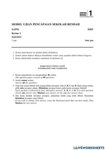 Soalan Kertas 1 Tahun 6