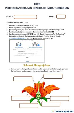 Perkembangbiakan Generatif pada Tumbuhan
