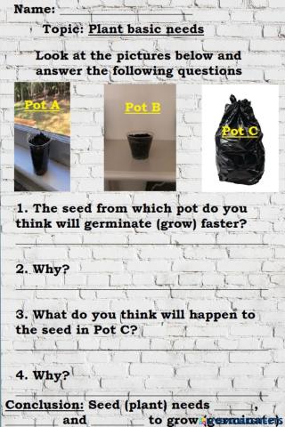 What Plant needs to grow