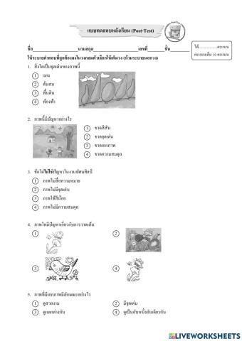 แบบทดสอบหลังเรียน การจัดองค์ประกอบ