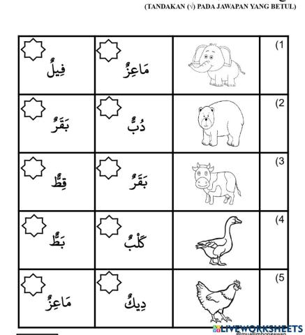 Bahasa Arab  (haiwan)