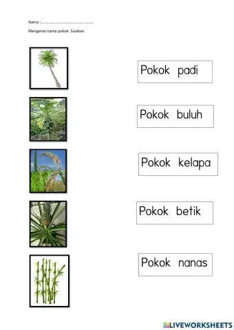Tumbuhan nama pokok