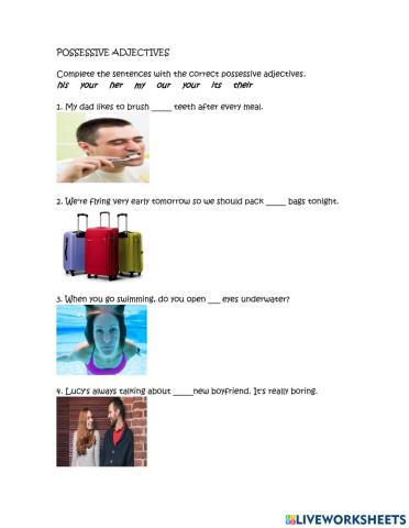 Possessive adjectives