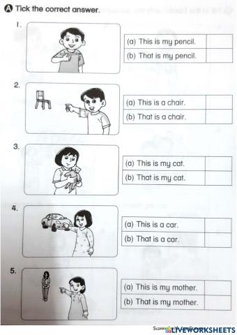 Demonstrative Pronouns