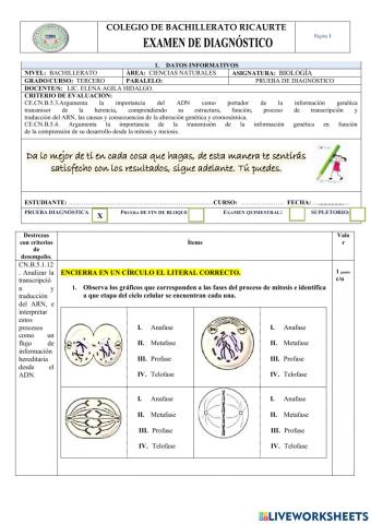 Prueba diagnóstico Biología 3ro