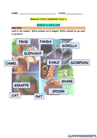 English plus 1 year 5