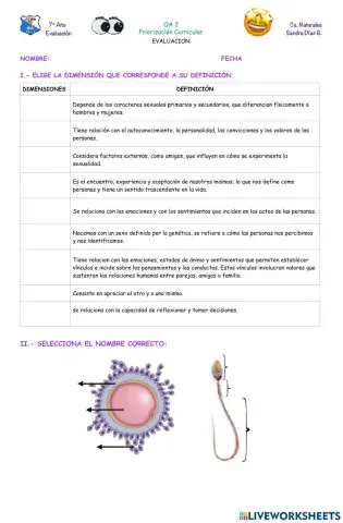 Formación de una nueva vida