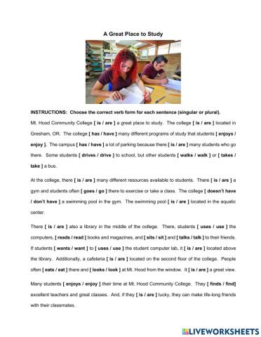 Simple Present Practice