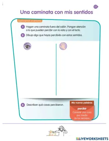 Una caminata con mis sentidos