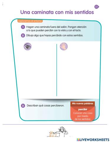 Una caminata con mis sentidos