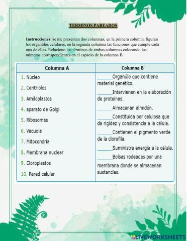 Partes de la Célula Vegetal