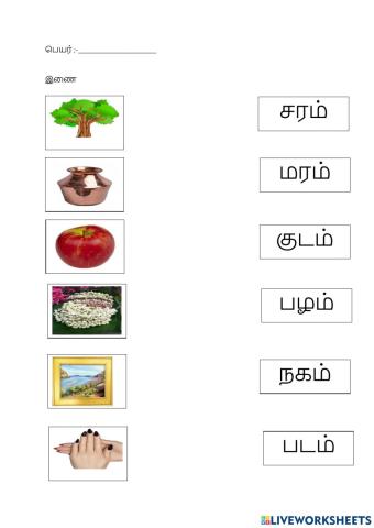 Tamil three letter words