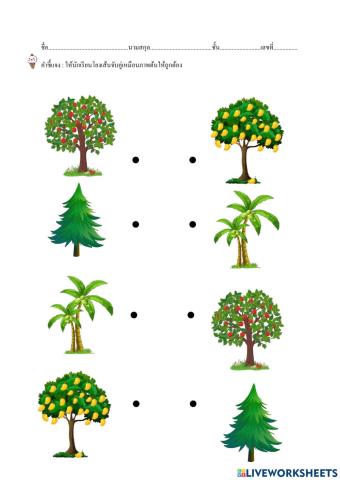 เกมโยงเส้นจับคู่ภาพเหมือต้นไม้