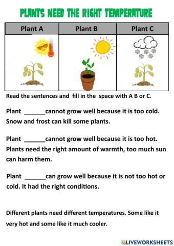 Plants and Conditions