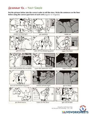 Grammar Ex. - Past Simple (Story)