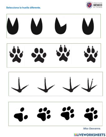 Semejanzas y diferencias.